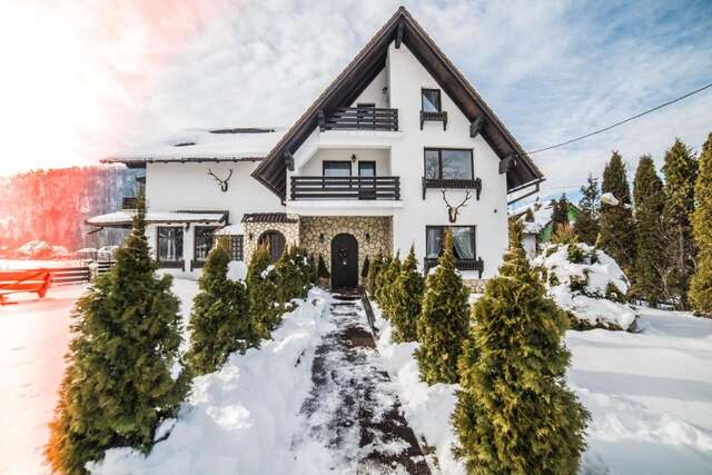 Отель Bran Chalet Бран-46
