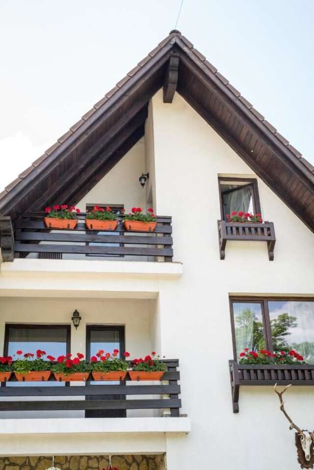 Отель Bran Chalet Бран-11